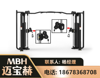 晋城大飞鸟训练器